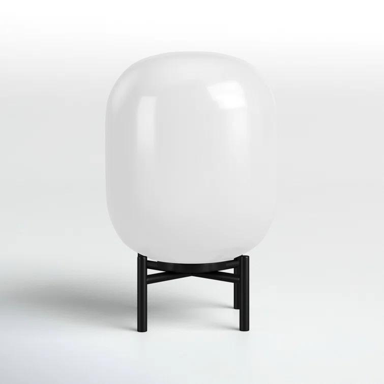 Danae Metal Novelty Lamp