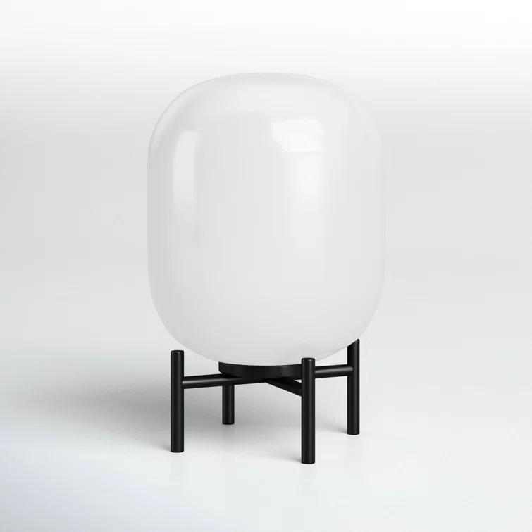 Danae Metal Novelty Lamp