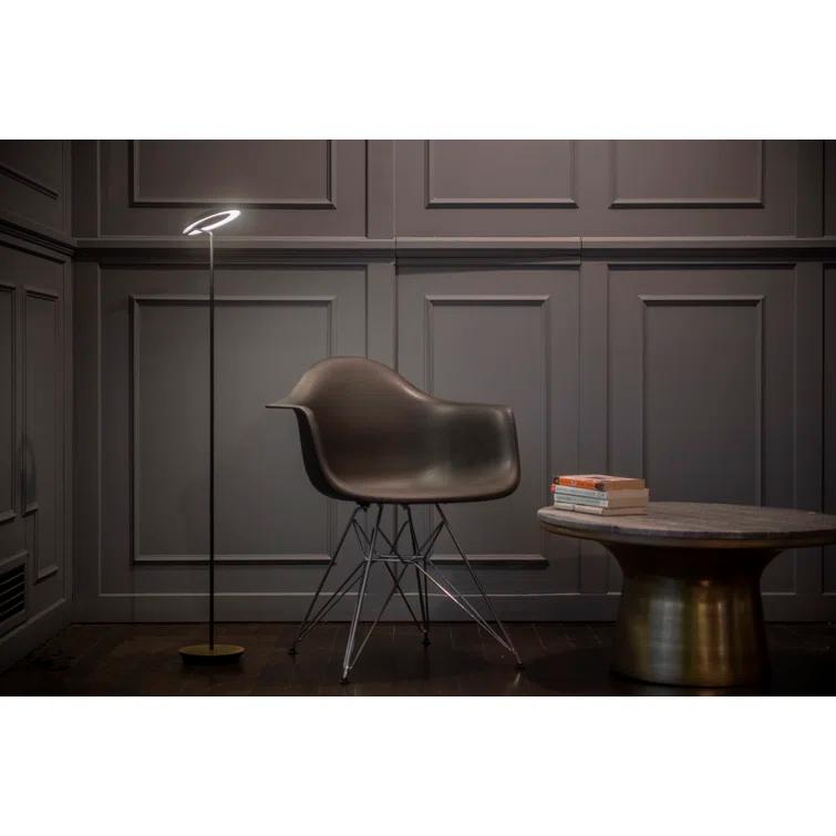 Royyo 45.5'' LED Floor Lamp