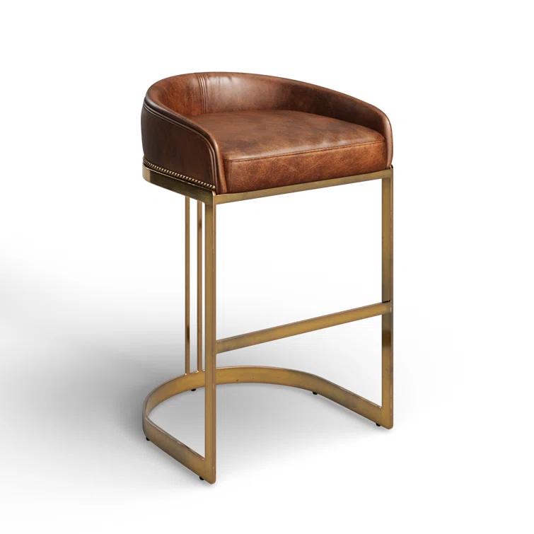 Bradley Genuine Leather Bar & Counter Stool