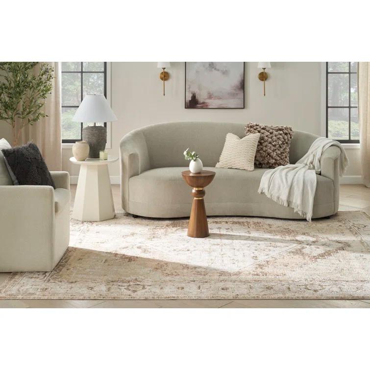 Haydel Oriental Machine Washable Power Loom Polyester Area Rug in Beige