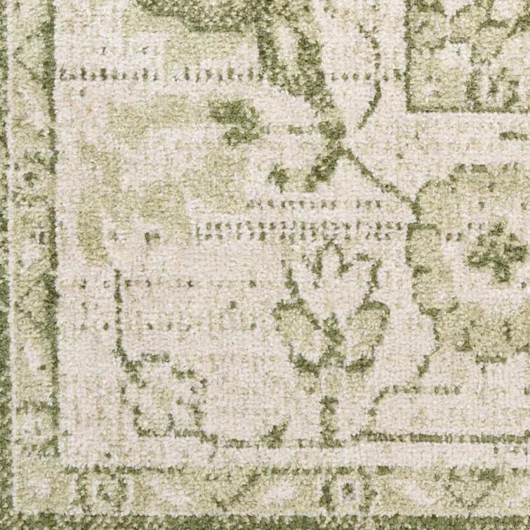 Haydel Machine Washable Area Rug in Ivory