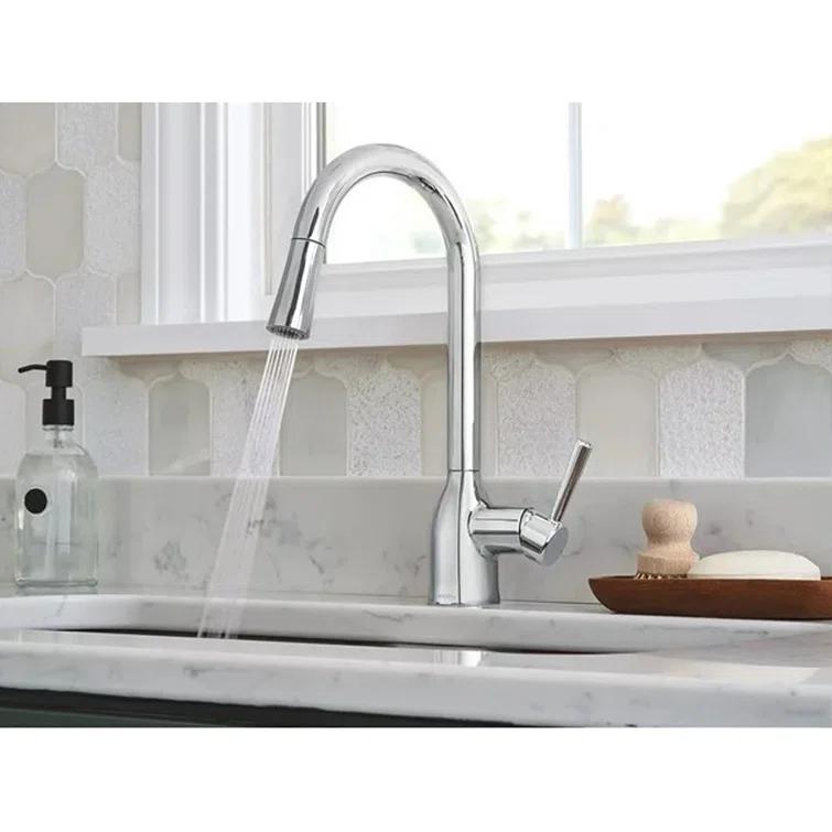 Adler Pull Down Single Handle Kitchen Faucet with Accessories