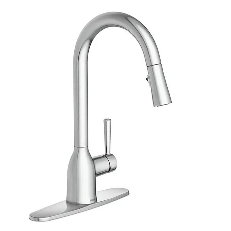 Adler Pull Down Single Handle Kitchen Faucet with Accessories