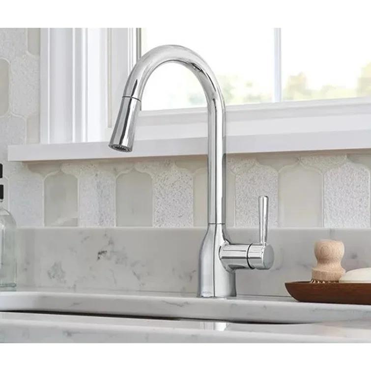 Adler Pull Down Single Handle Kitchen Faucet with Accessories