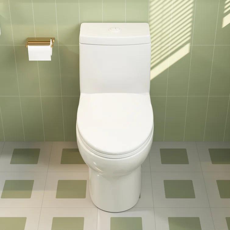 Ally Standard Bathroom Toielt, Modern Toilet with Comfort Chair Height Floor Mounted(Seat Included)