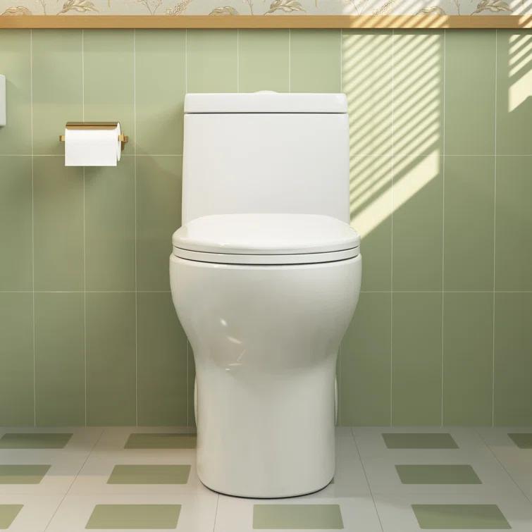 Ally Standard Bathroom Toielt, Modern Toilet with Comfort Chair Height Floor Mounted(Seat Included)