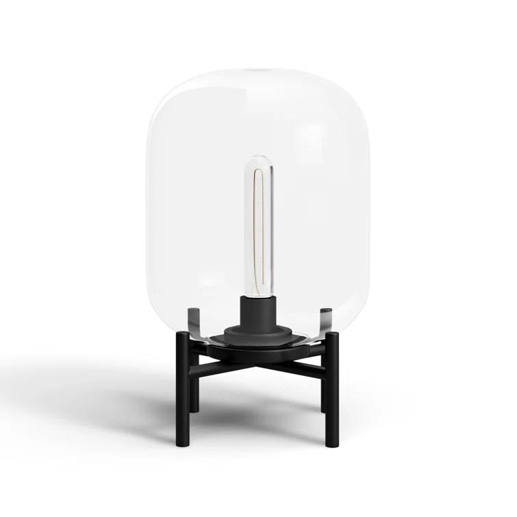 Danae Metal Novelty Lamp