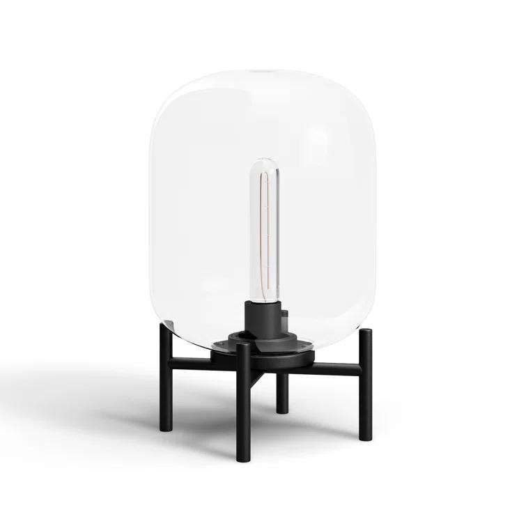 Danae Metal Novelty Lamp