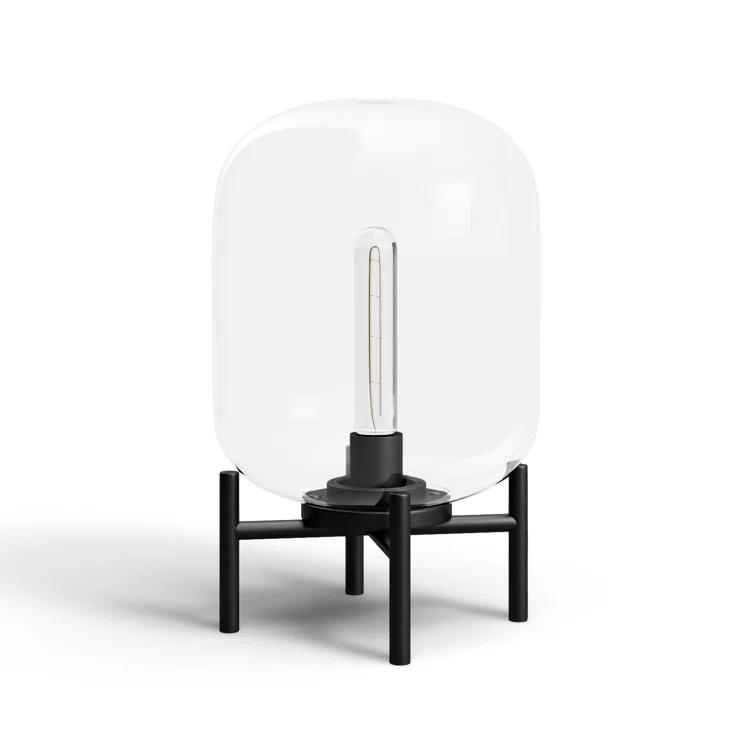 Danae Metal Novelty Lamp