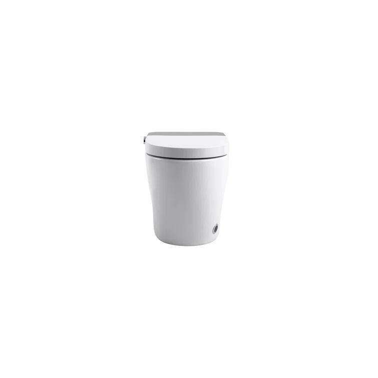 VIBRANTBATH 1.1 Gallons GPF Elongated Bidet Toilet (Seat Included)