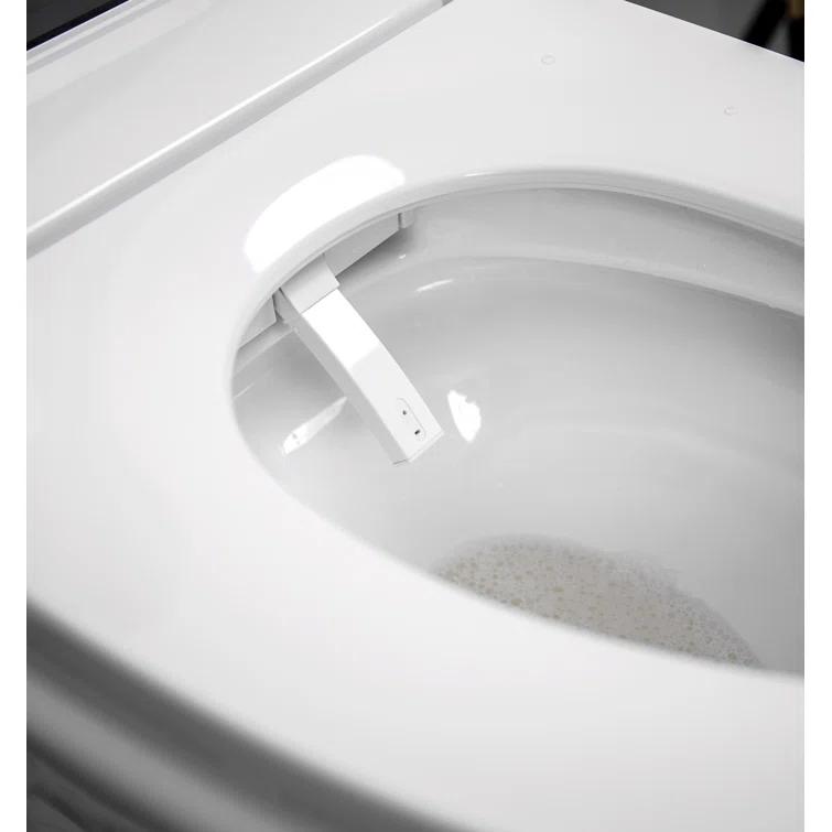 VIBRANTBATH 1.1 Gallons GPF Elongated Bidet Toilet (Seat Included)