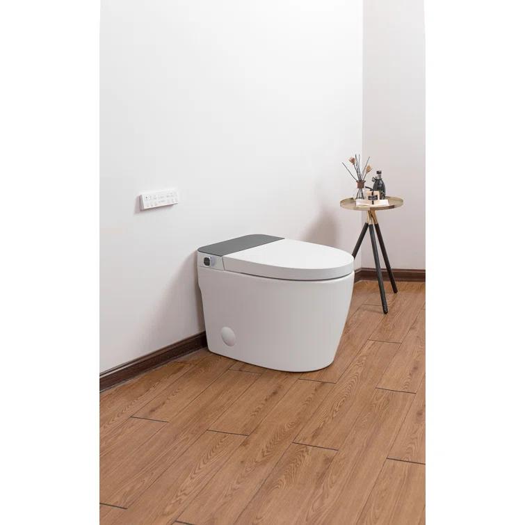 VIBRANTBATH 1.1 Gallons GPF Elongated Bidet Toilet (Seat Included)