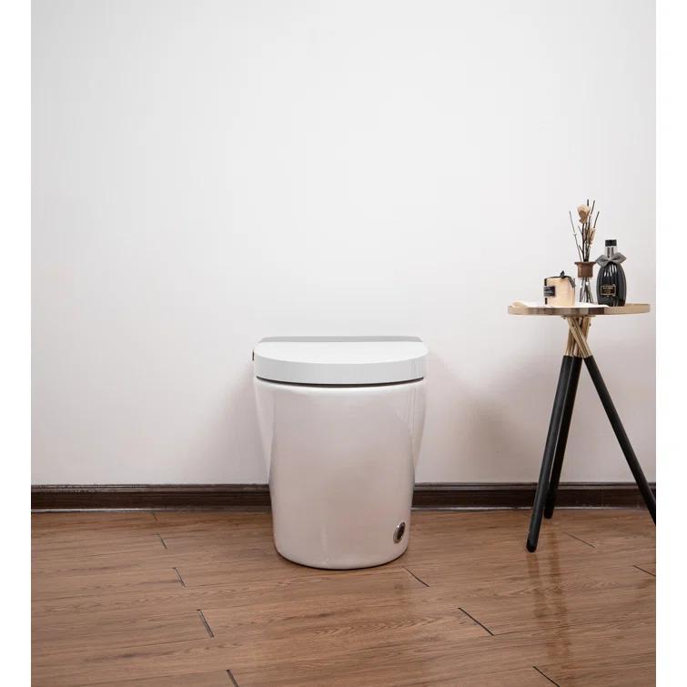 VIBRANTBATH 1.1 Gallons GPF Elongated Bidet Toilet (Seat Included)