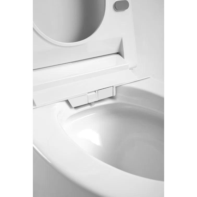 VIBRANTBATH 1.1 Gallons GPF Elongated Bidet Toilet (Seat Included)