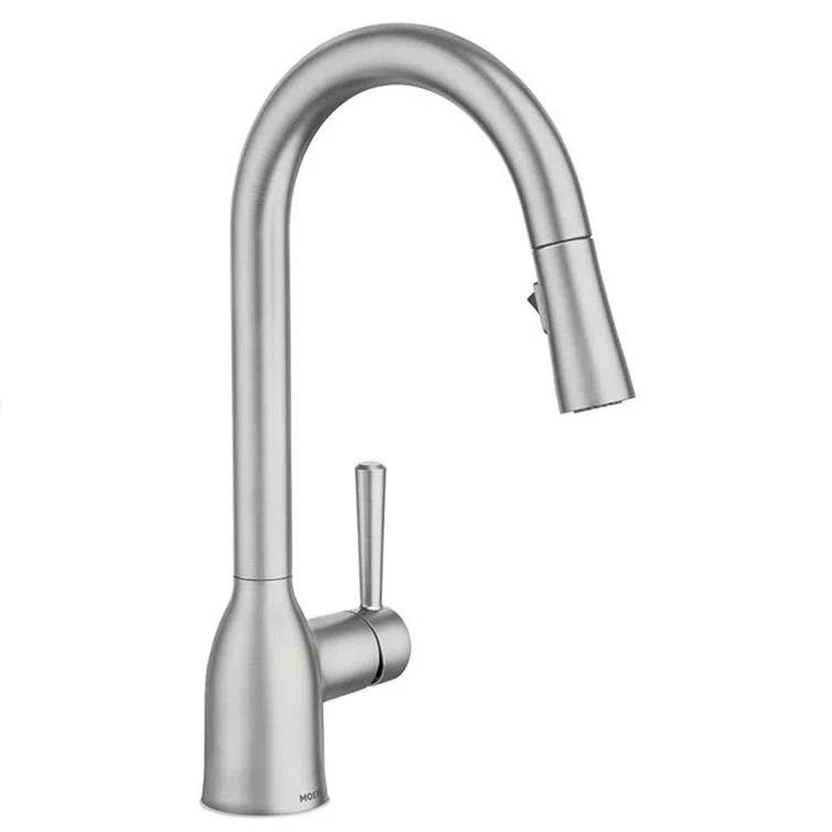 Adler Pull Down Single Handle Kitchen Faucet with Accessories