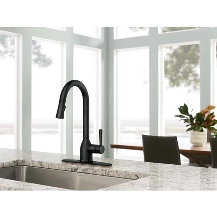 Adler Pull Down Single Handle Kitchen Faucet with Accessories