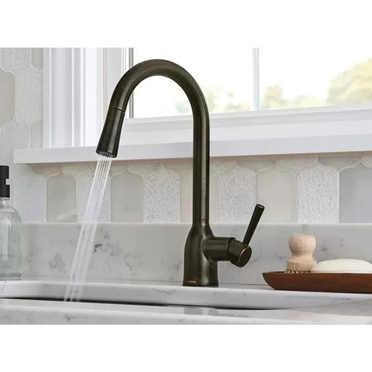 Adler Pull Down Single Handle Kitchen Faucet with Accessories