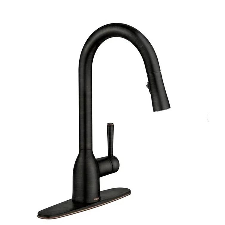 Adler Pull Down Single Handle Kitchen Faucet with Accessories