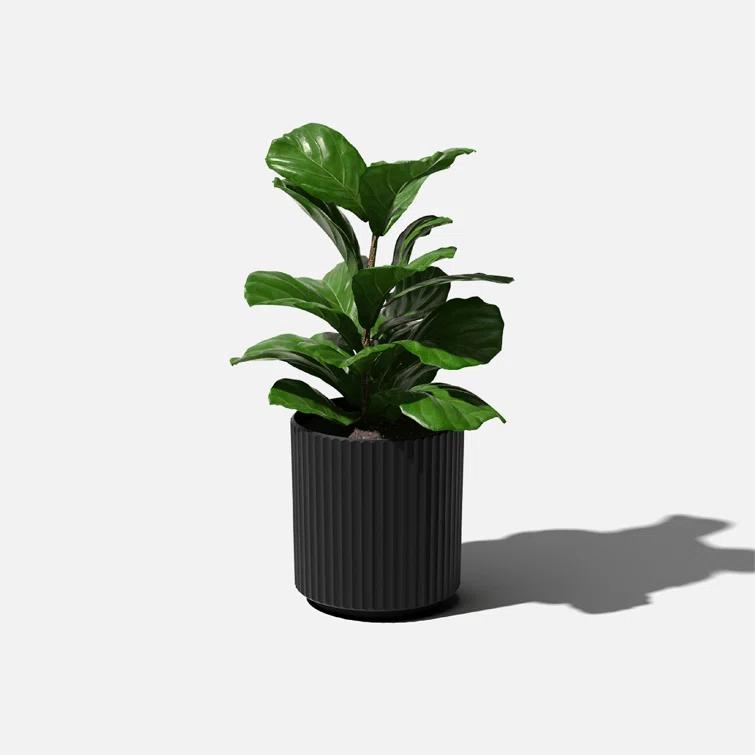 Demi Series Round Planter