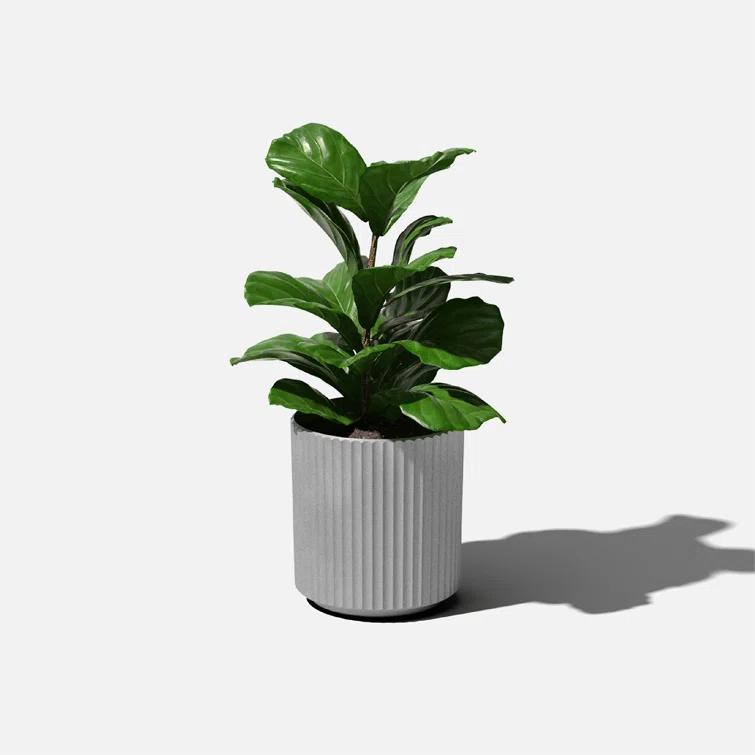 Demi Series Round Planter