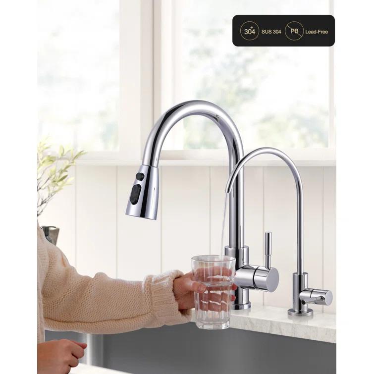 ARCORA ARCORA Stainless Steel Pull-Down Kitchen Faucet and Water Filter Faucet Combo AR7100301C-L