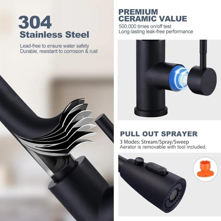 ARCORA ARCORA Stainless Steel Pull-Down Kitchen Faucet and Water Filter Faucet Combo AR7100301B-L