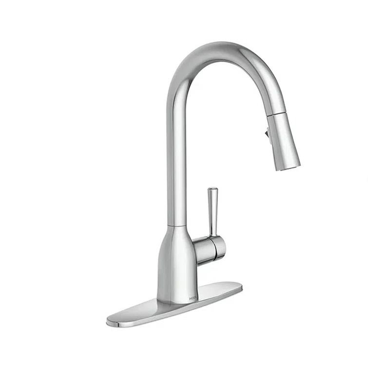 Adler Pull Down Single Handle Kitchen Faucet with Accessories