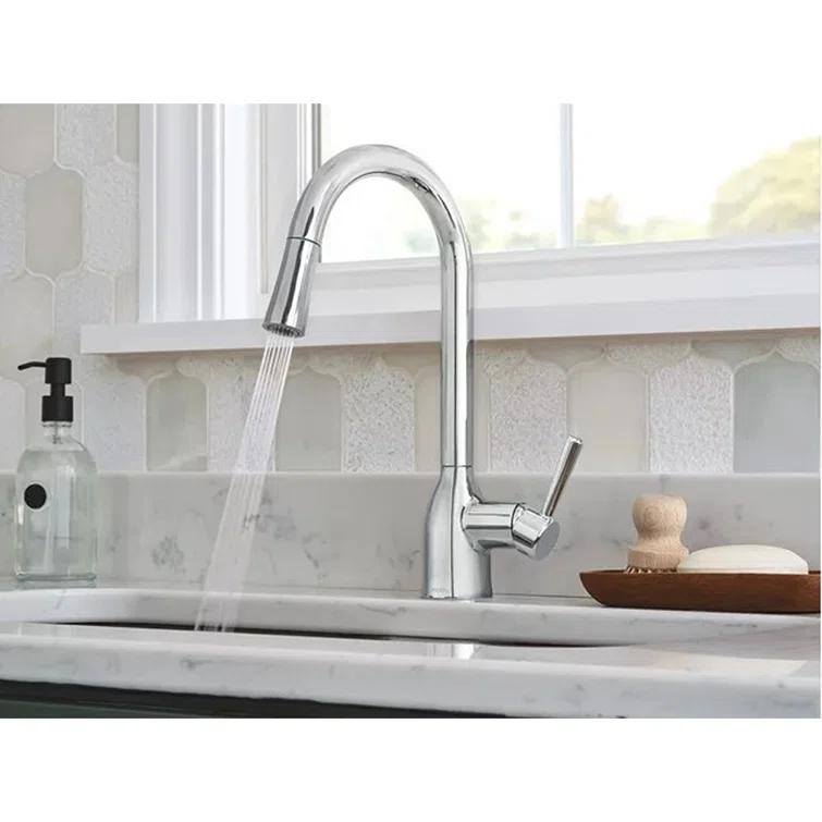 Adler Pull Down Single Handle Kitchen Faucet with Accessories