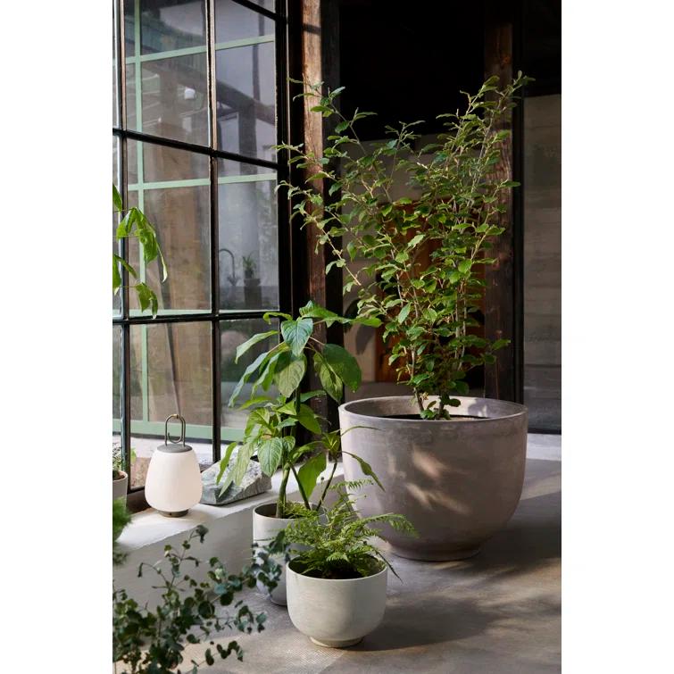 Moss Green Cordless Outdoor LED Lantern with Glass Shade