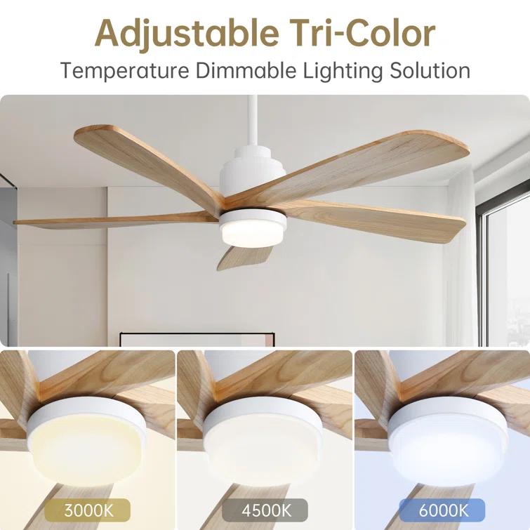 Sofucor 52" 5-Solid Blade Smart Modern Ceiling Fan with LED Light，Remote