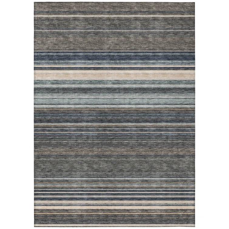 Chayden Washable Striped Indoor / Outdoor Rug