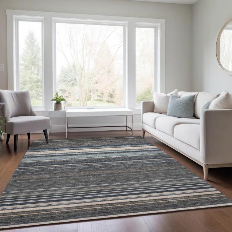 Chayden Washable Striped Indoor / Outdoor Rug