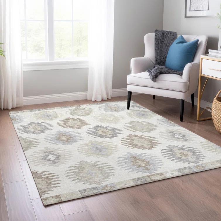 Chayden Washable Southwestern Indoor / Outdoor Rug