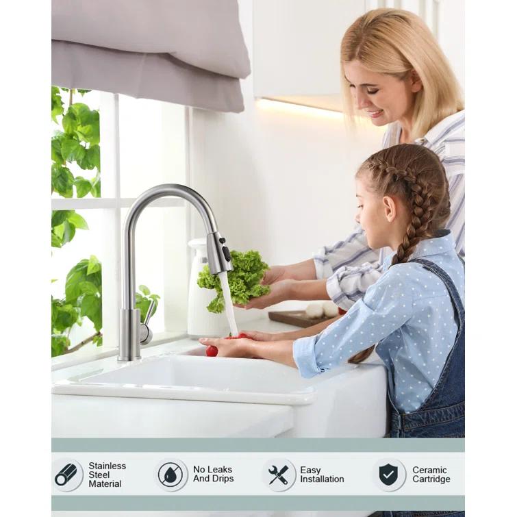 High Arc Pull Down Kitchen Faucet with Sprayer