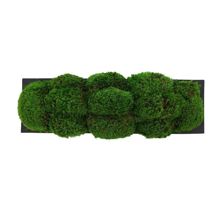 Nature's Nostalgia Moss Plant in Fiberstone Planter