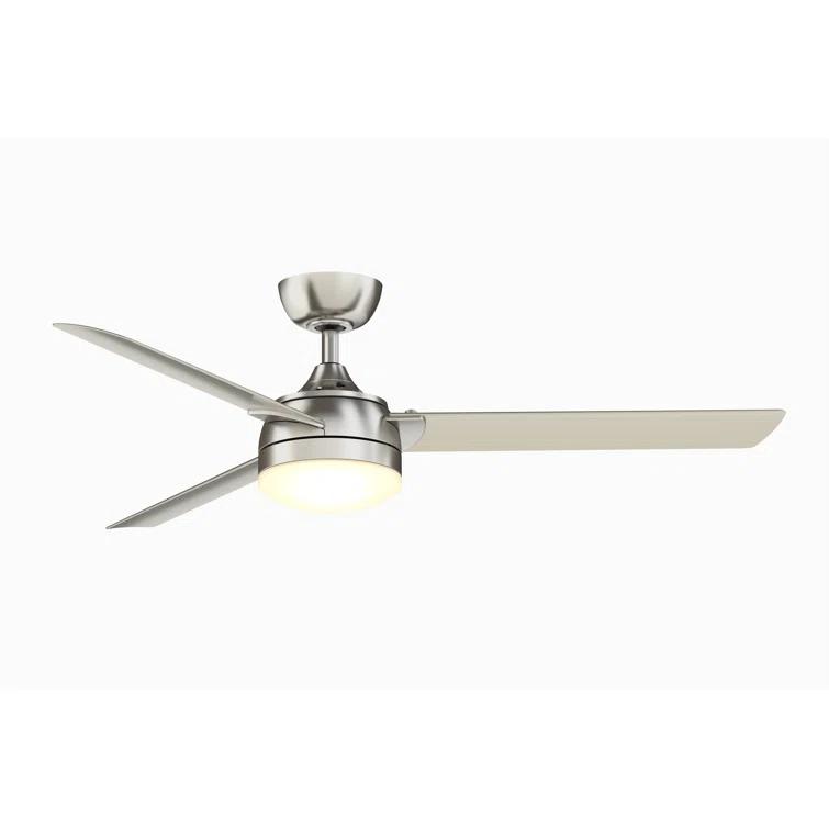 Xeno Ceiling Fan (56")