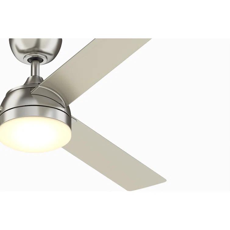 Xeno Ceiling Fan (56")