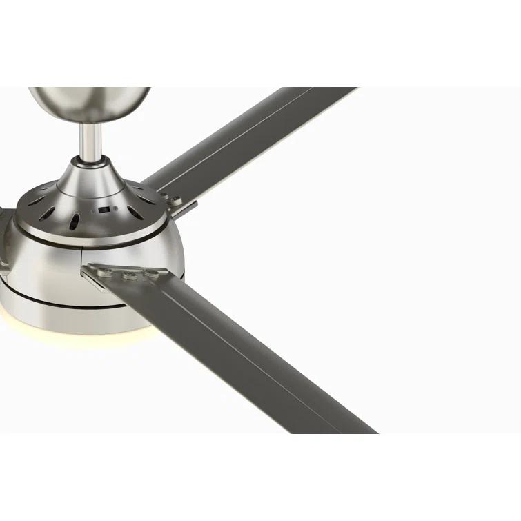 Xeno Ceiling Fan (56")