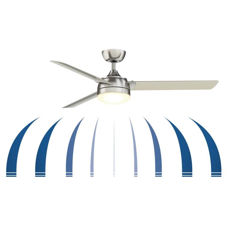 Xeno Ceiling Fan (56")