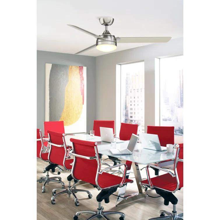 Xeno Ceiling Fan (56")