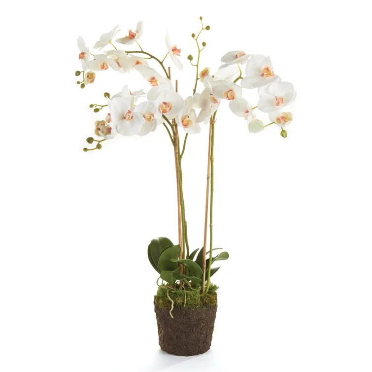 Plum & Post Phalaenopsis Orchid Faux (Fake) Drop-In 31"
