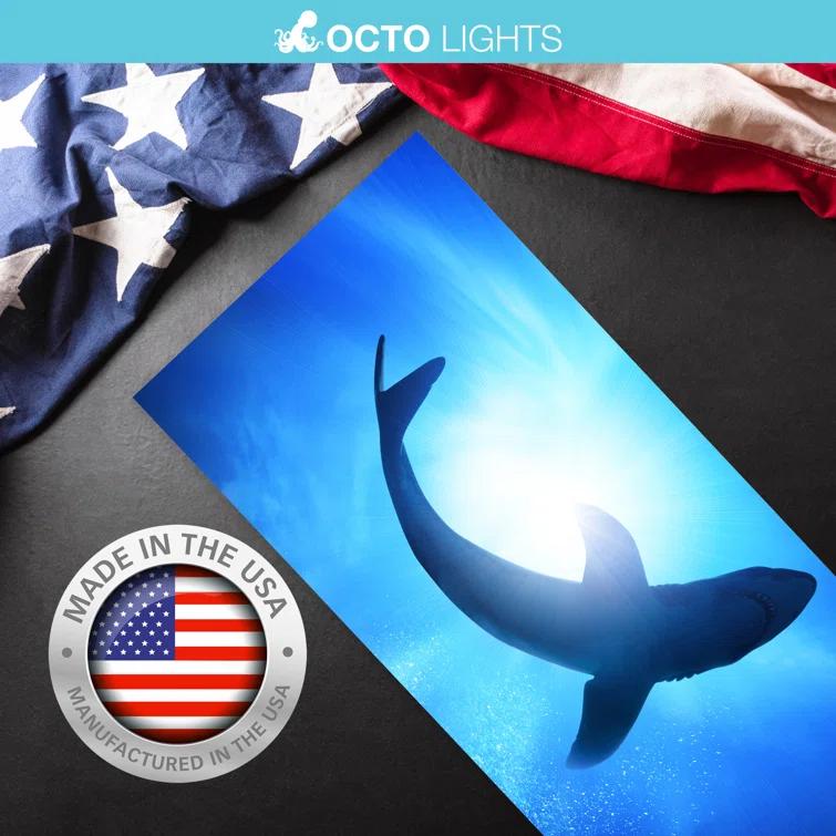 Octo Lights OCE-007-MGT-2x4 Ocean - Magnetic Fluorescent Light Cover for Ceiling Lights Classroom -  2x4 - by Octo Lights