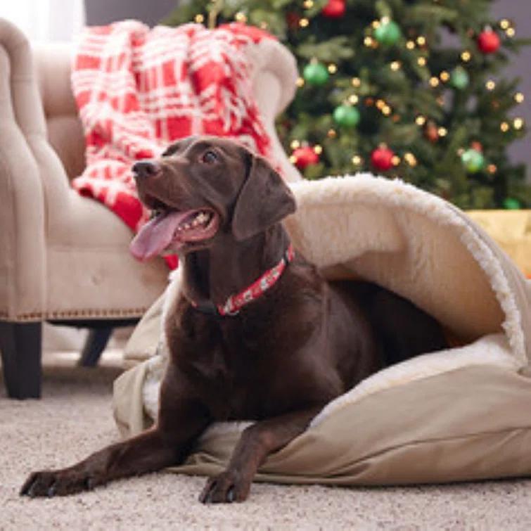 Snoozer Cozy Cave Hooded Dog Bed Poly/Cotton