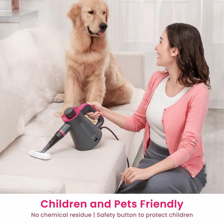 Schenley Handheld High-Pressure Steam Cleaner