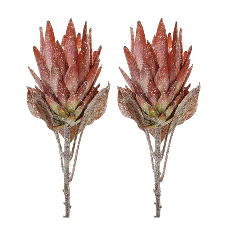 Protea Flower Stem (Set of 2) (Set of 2)