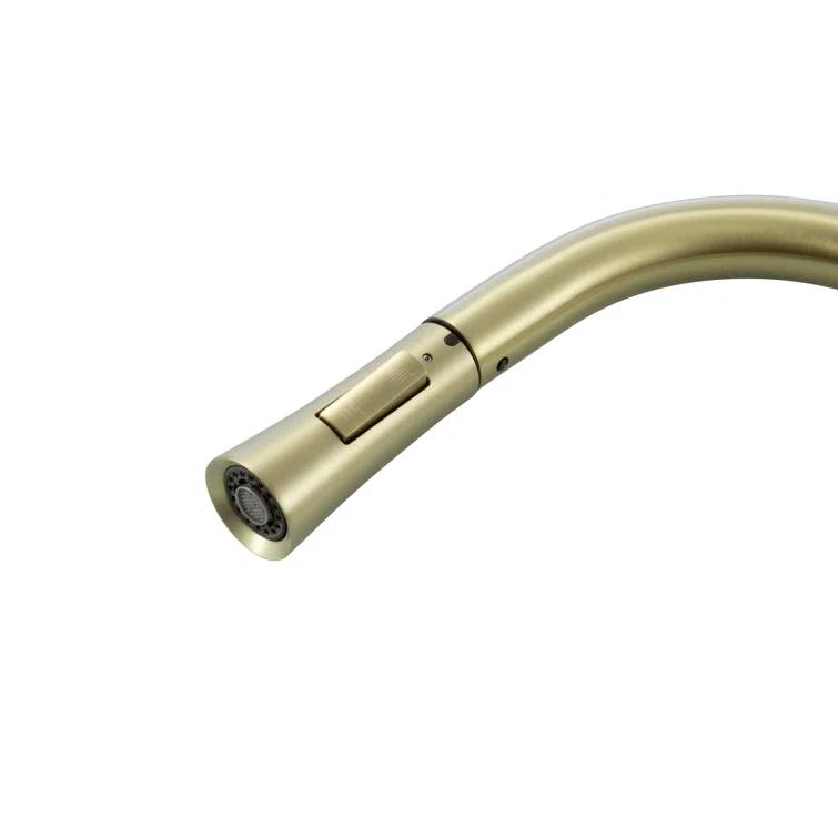 Elegant Lighting Lucas Pull Down Spray Kitchen Faucet