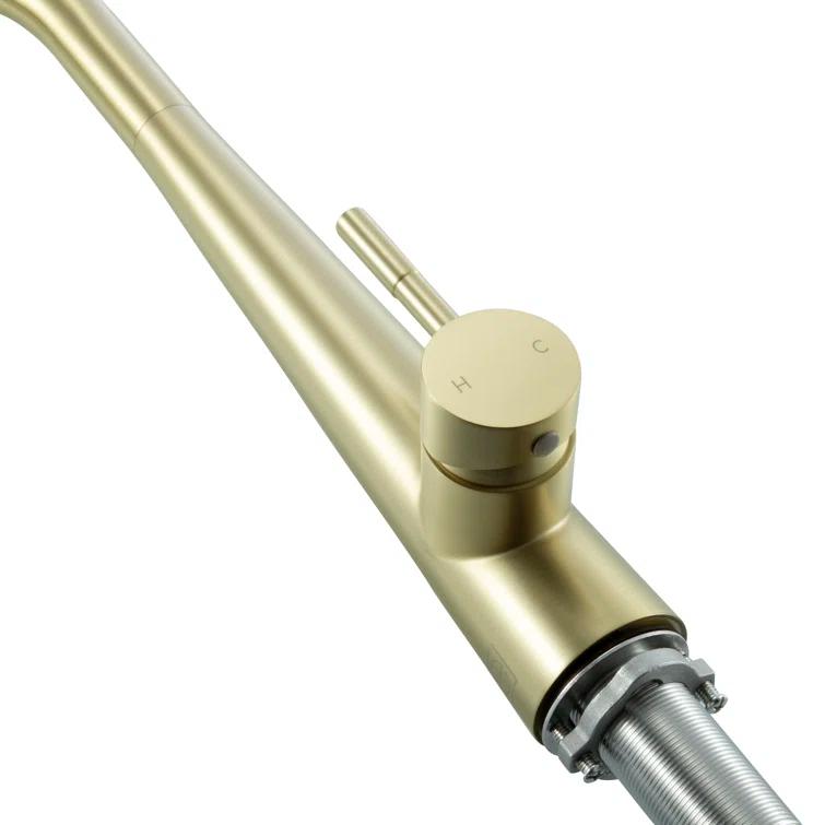Elegant Lighting Lucas Pull Down Spray Kitchen Faucet
