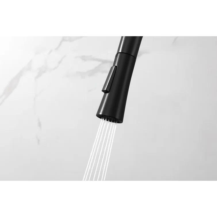Elegant Lighting Lucas Pull Down Spray Kitchen Faucet