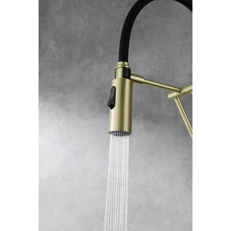 Elegant Lighting Leonardo Pull Down Spray Kitchen Faucet